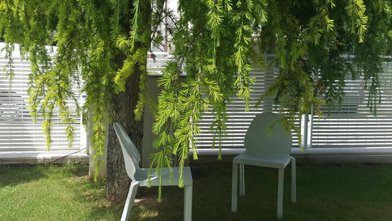 B&B "Al Colle 11" Fano Luaran gambar