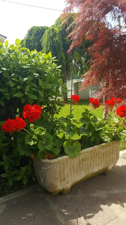 B&B "Al Colle 11" Fano Luaran gambar